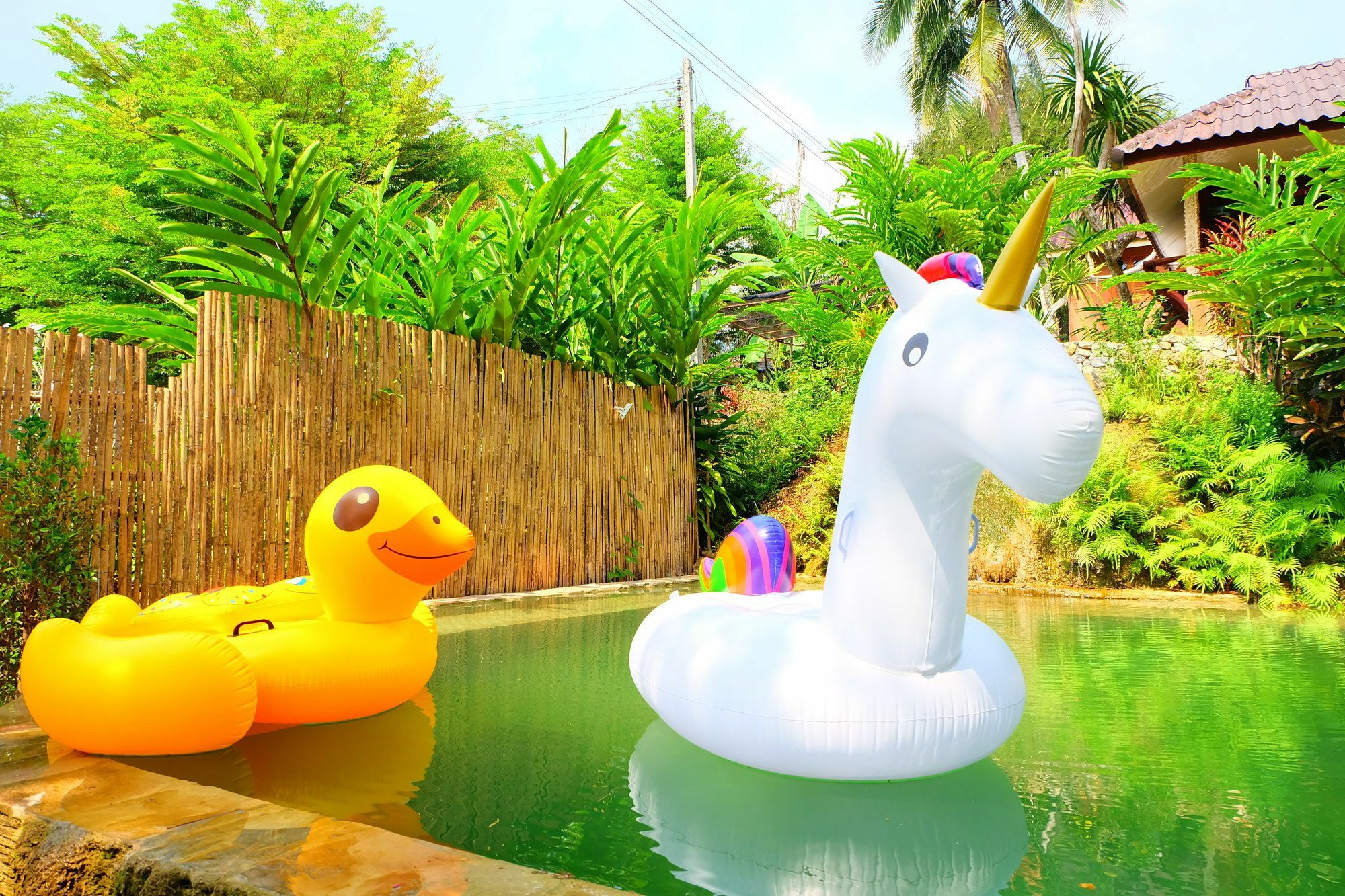 In My Dream Resort Ban Huai Maenam Noi Exterior foto